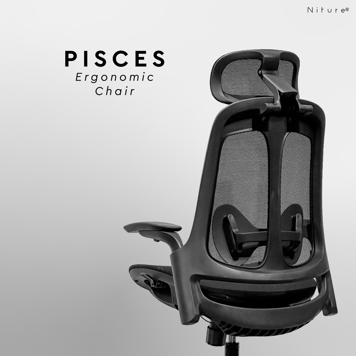 Pisces catalogue v1.0 01 3 1.jpg