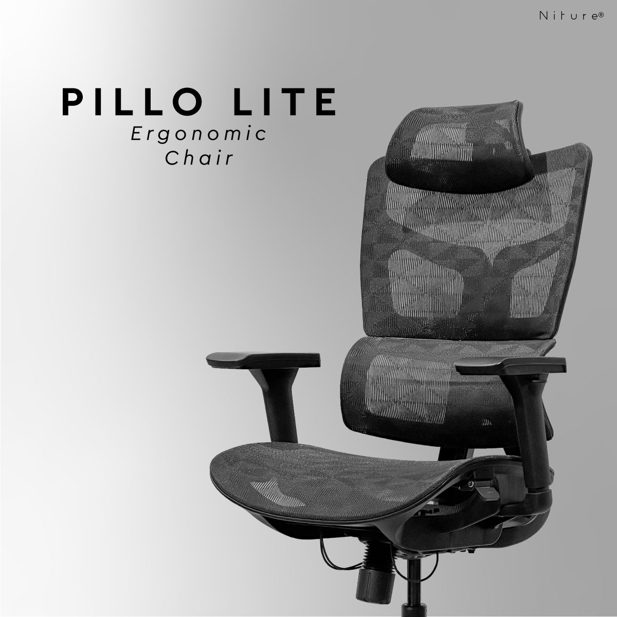 V2.5 pillo lite 01 2.jpg